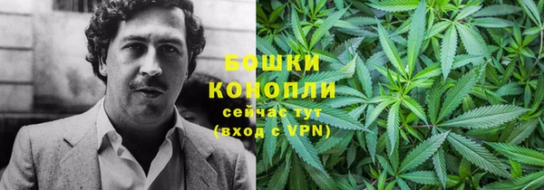 ПСИЛОЦИБИНОВЫЕ ГРИБЫ Алексин