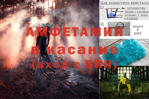 ПСИЛОЦИБИНОВЫЕ ГРИБЫ Алексин