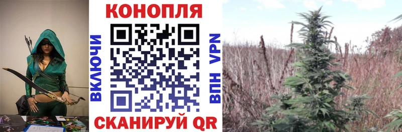 МЕГА ССЫЛКА  Грязи  Марихуана сатива 